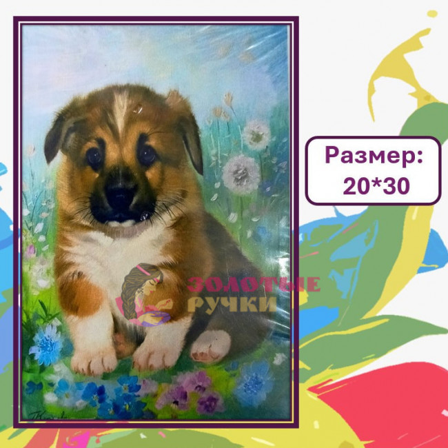 Картина для рисования по номерам "Щенок" Размер: 20*30