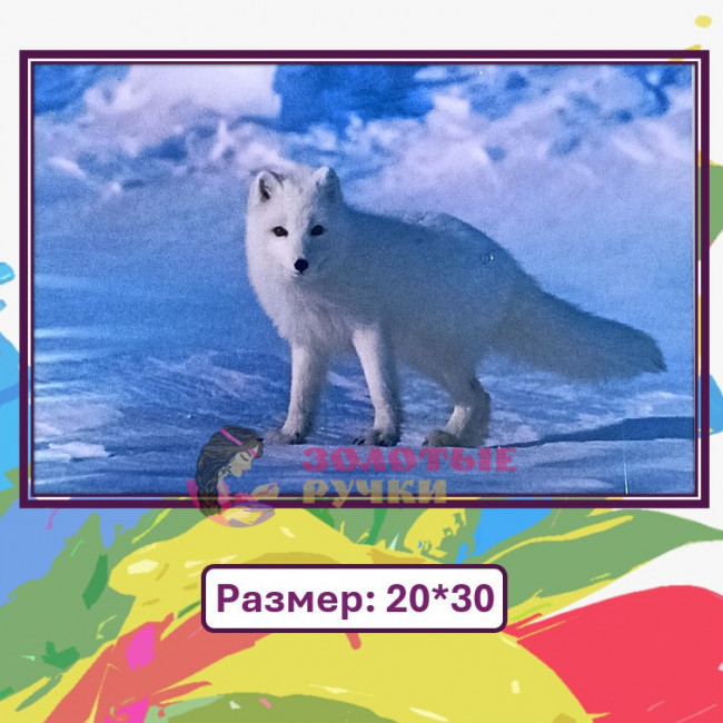 Картина для рисования по номерам "Северный лис" Размер: 20*30