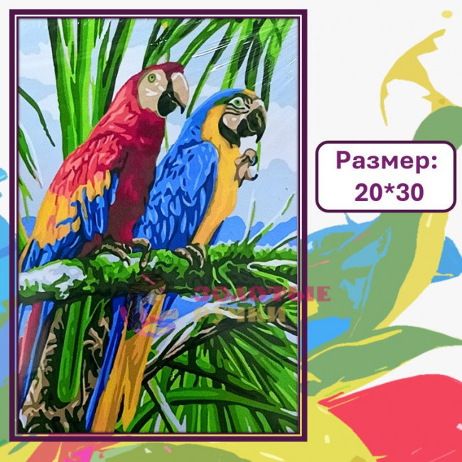 Картина для рисования по номерам "Попугаи" Размер: 20*30