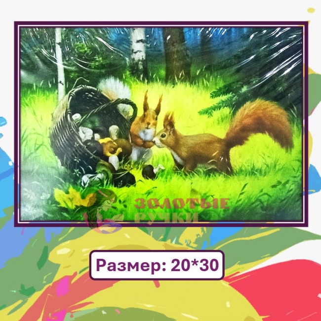 Картина для рисования по номерам "Белки". Размер: 20*30