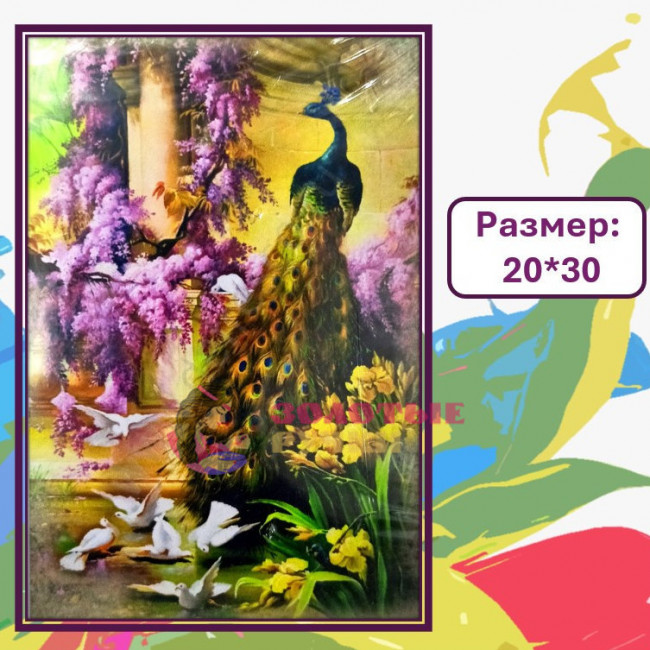 Картина для рисования по номерам "Павлин". Размер: 20*30
