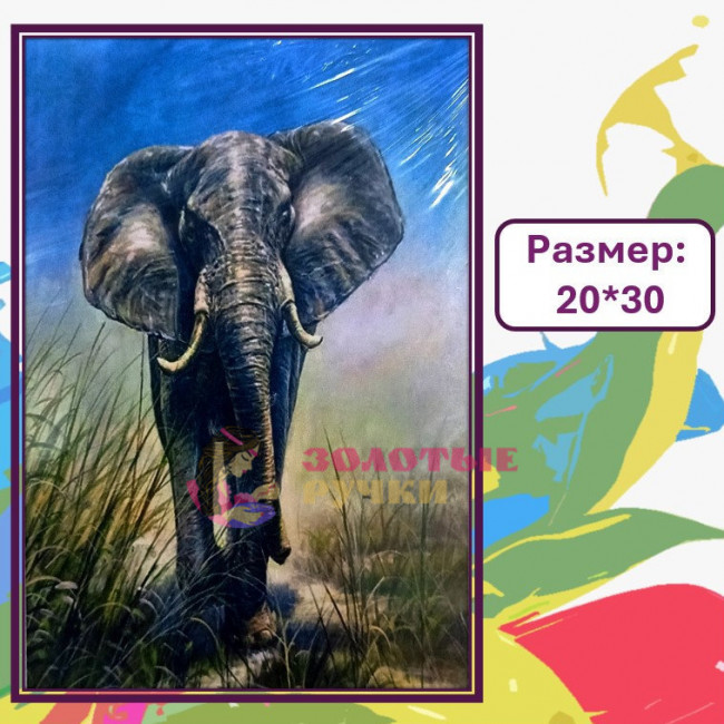Картина для рисования по номерам "Слон". Размер: 20*30