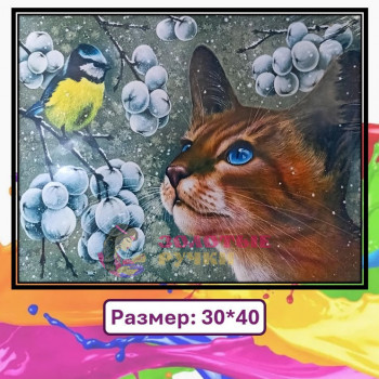Картина для рисования по номерам "Кот и синичка" Размер: 30*40