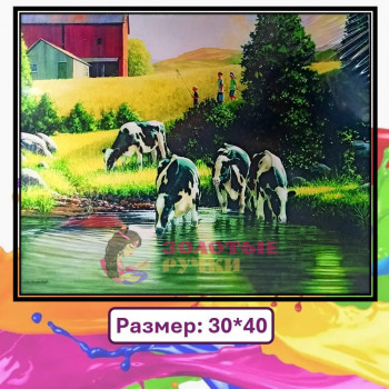 Картина для рисования по номерам "Пятнистые коровы". Размер: 30*40