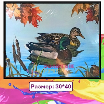 Картина для рисования по номерам "Дикие утки". Размер: 30*40