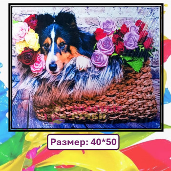 Картина для рисования по номерам "Собака в цветах". Размер: 40*50