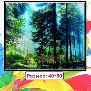 Картина для рисования по номерам "Лесной пейзаж". Размер: 40*50