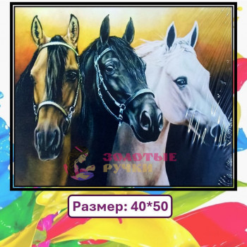 Картина для рисования по номерам "Тройка". Размер: 40*50