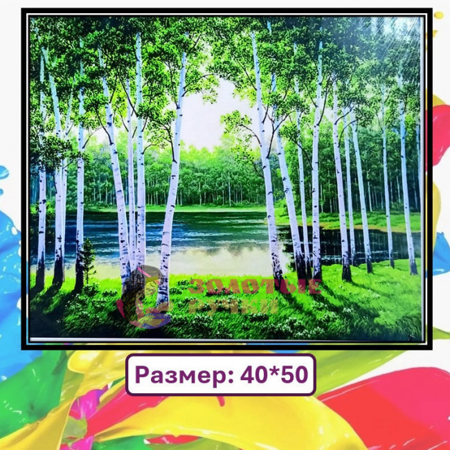 Картина для рисования по номерам "Берёзы у реки". Размер: 40*50