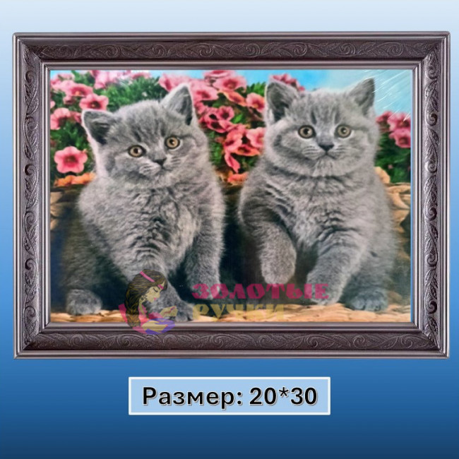 Алмазная мозаика "Котята" на подрамнике. Размер: 20*30