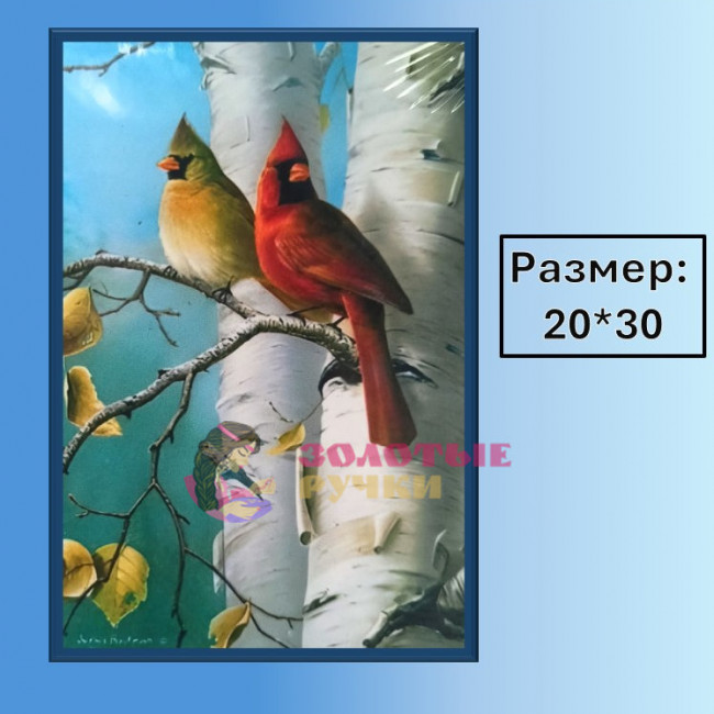 Алмазная мозаика "Кардиналы на березе" на подрамнике. Размер: 20*30