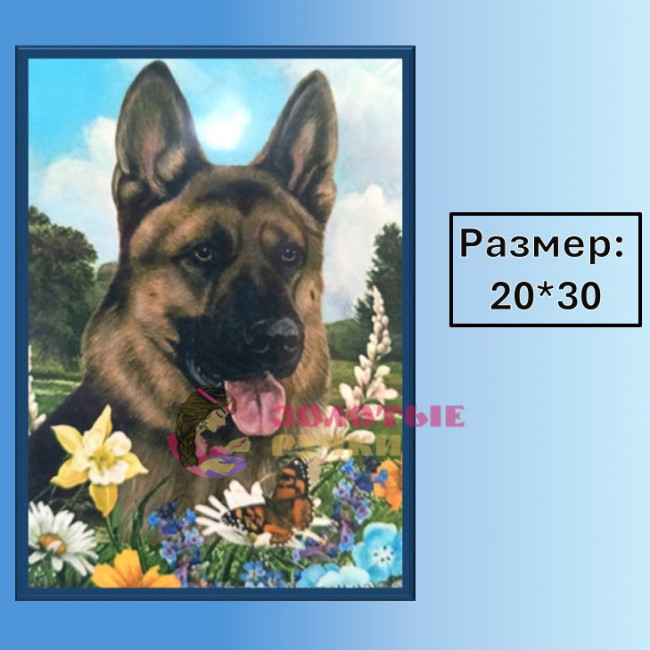 Алмазная мозаика "Немецкая овчарка" на подрамнике. Размер: 20*30