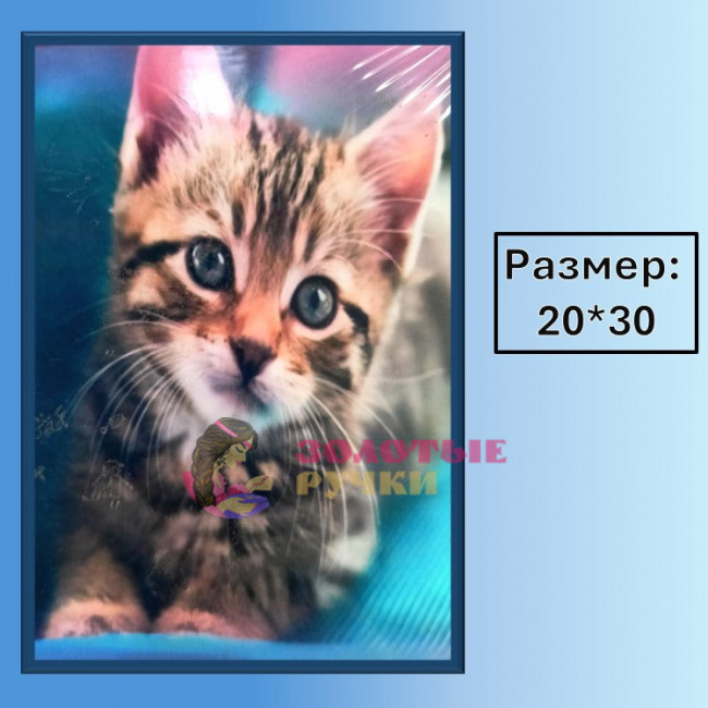 Алмазная мозаика "Милый котенок" на подрамнике. Размер: 20*30