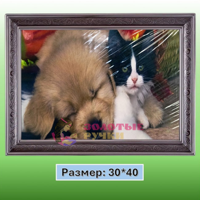 Алмазная мозаика "Милые животные" на подрамнике. Размер: 30*40