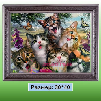 Алмазная мозаика "Кошки" на подрамнике. Размер: 30*40