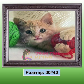 Алмазная мозаика "Котенок" на подрамнике. Размер: 30*40