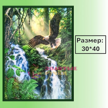 Алмазная мозаика "Орлан над бурной лесной рекой" на подрамнике. Размер: 30*40
