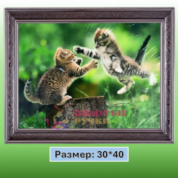 Алмазная мозаика "Котята" на подрамнике. Размер: 30*40