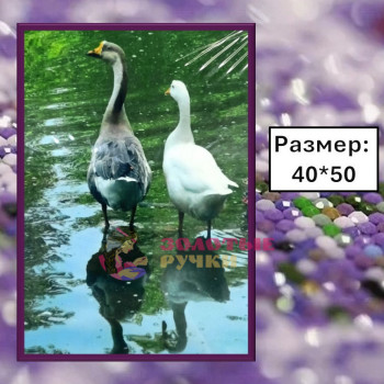 Алмазная мозаика "Гуси" на подрамнике. Размер: 40*50