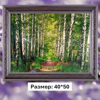 Алмазная мозаика "Березовая роща" на подрамнике. Размер: 40*50