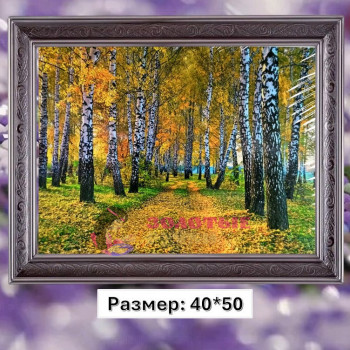 Алмазная мозаика "Осень в березовой роще" на подрамнике. Размер: 40*50