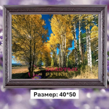 Алмазная мозаика "Осенняя березовая роща" на подрамнике. Размер: 40*50