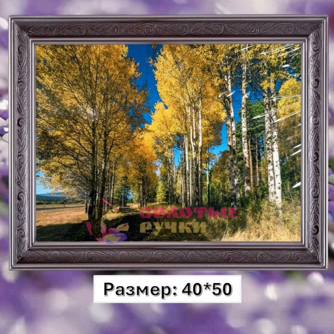 Алмазная мозаика "Осенняя березовая роща" на подрамнике. Размер: 40*50