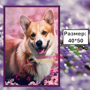 Алмазная мозаика "Корги" на подрамнике. Размер: 40*50