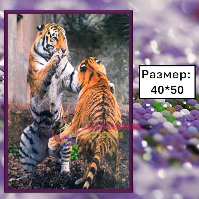 Алмазная мозаика "Тигры" на подрамнике. Размер: 40*50